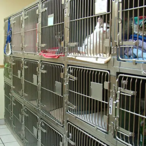 Tiny Animal Cat Ward Cages of Animals
